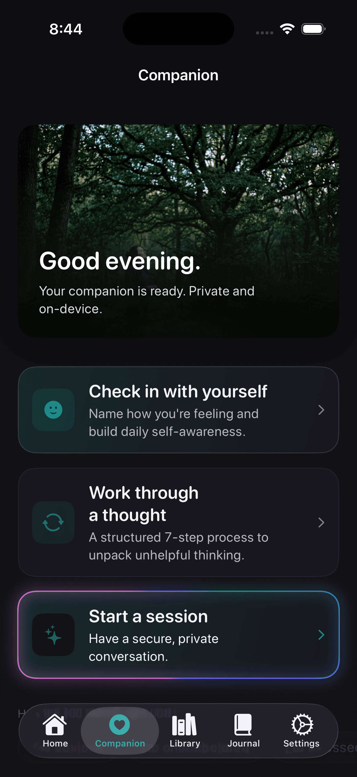 AI Companion
